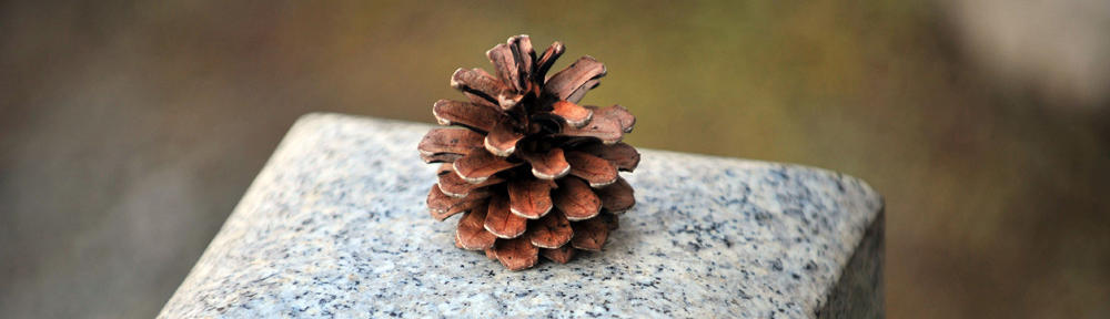 CTMAURIAC